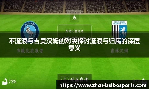 不流浪与吉灵汉姆的对决探讨流浪与归属的深层意义