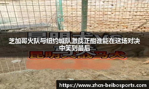 芝加哥火队与纽约城队激战正酣谁能在这场对决中笑到最后